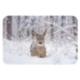 Hert - Sneeuw - Bos - Dieren - Vertederend Badmat klein -3d