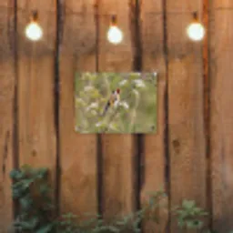 Putter - Bloesem - Lente - Natuur - Kleurrijk tuinposter los doek klein -sfeer1