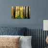 Bos - Zon - Bomen - Gras - Landschap  - Natuur poster papier klein -sfeer2