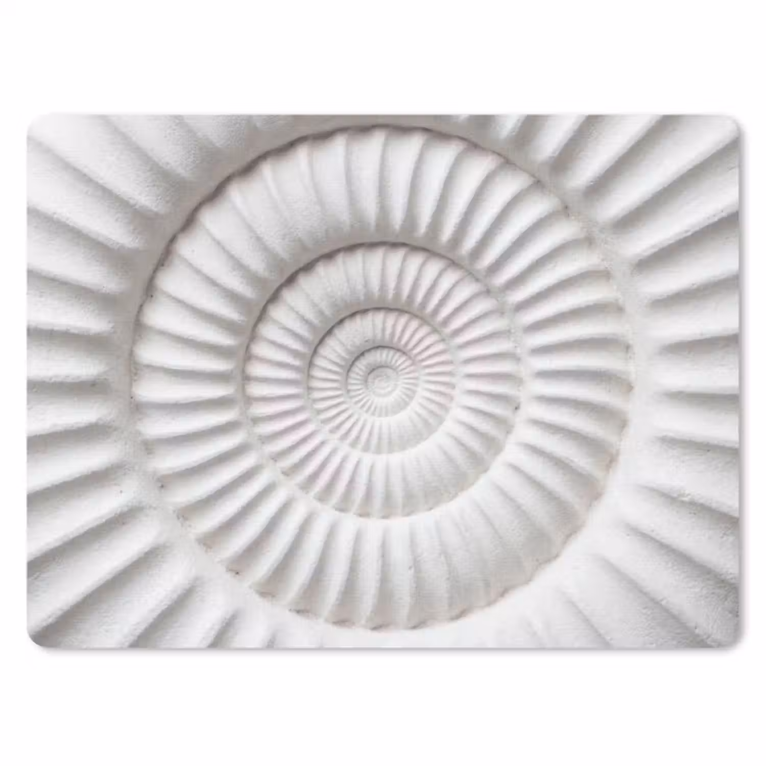 Muismat - Schelp - Spiraal - Wit