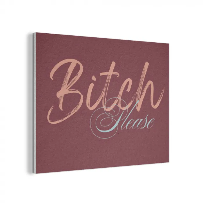 Bitch please - Rood - Blauw PET vilt klein -3d