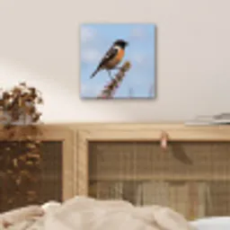 Roodborsttapuit - Heide - Paars - Natuur - Sfeervol aluminium wit klein -sfeer3