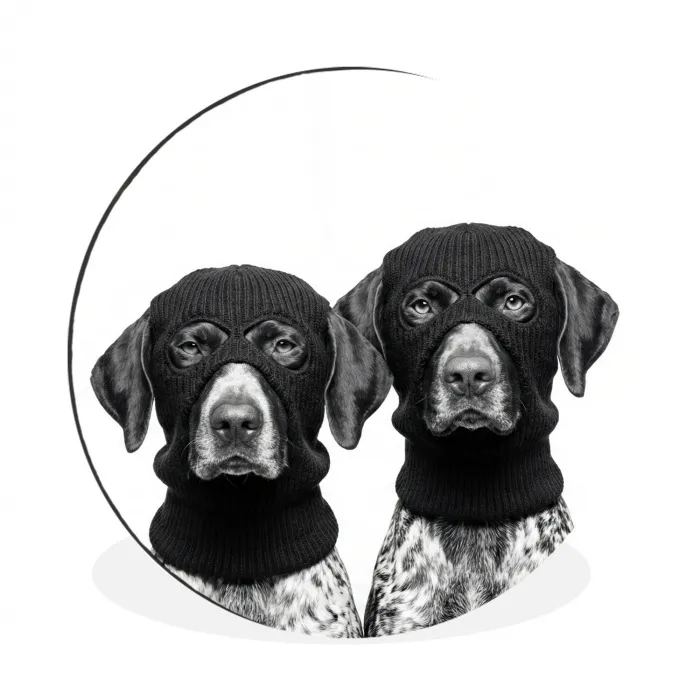 Honden - Bivakmuts - Zwart - wit Wandcirkel aluminium klein -3d