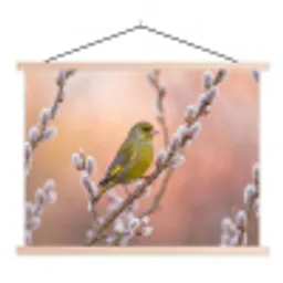 Groenling - Katjes - Lente - Natuur - Zacht textielposter latten blank klein -3d