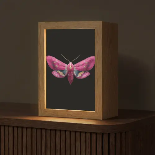 Vlinder - Roze - Nachtvlinder Light Box met kabel (Tafellamp) klein -z3d_website