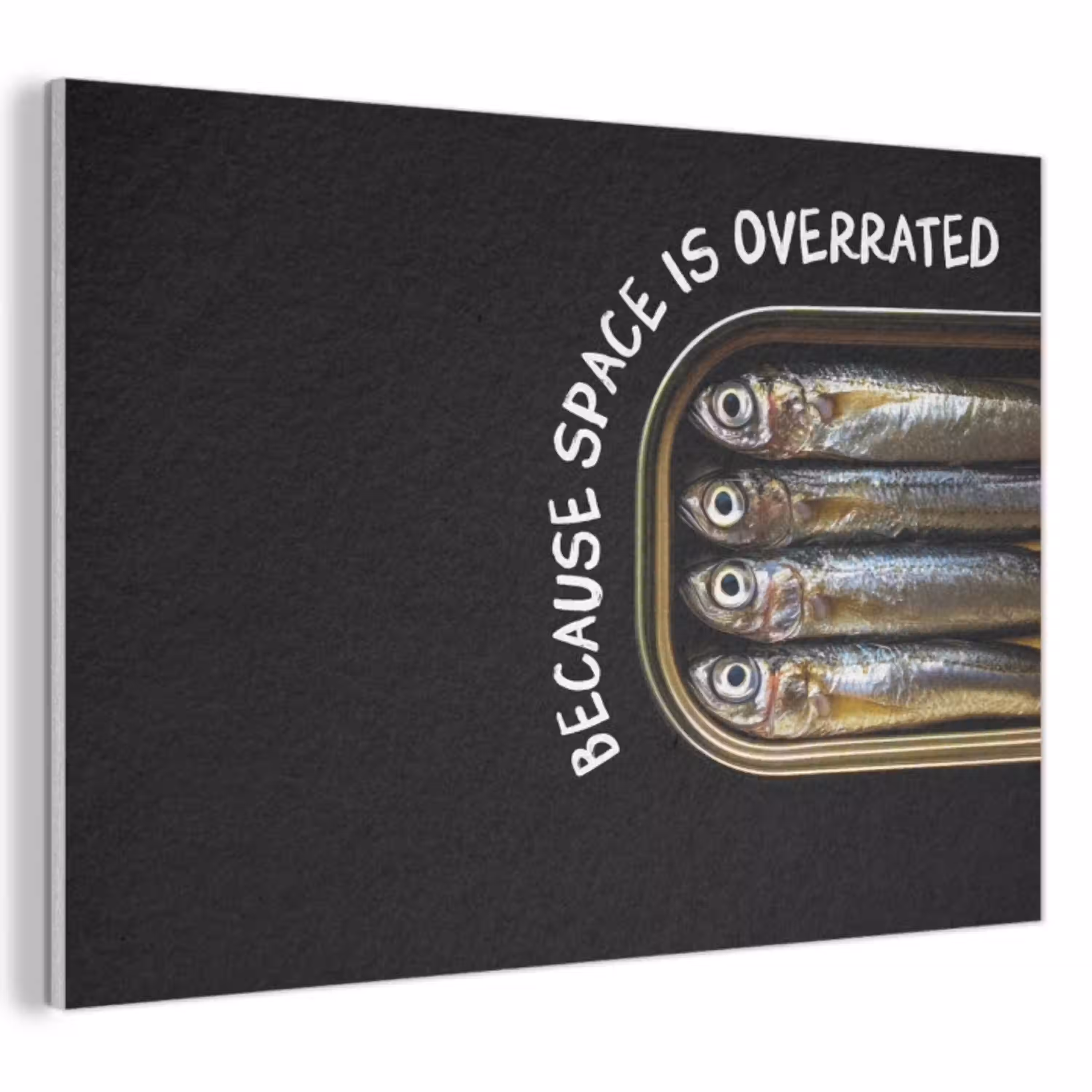 Sardines - Tekst - Vis - Blik PET vilt klein -3d