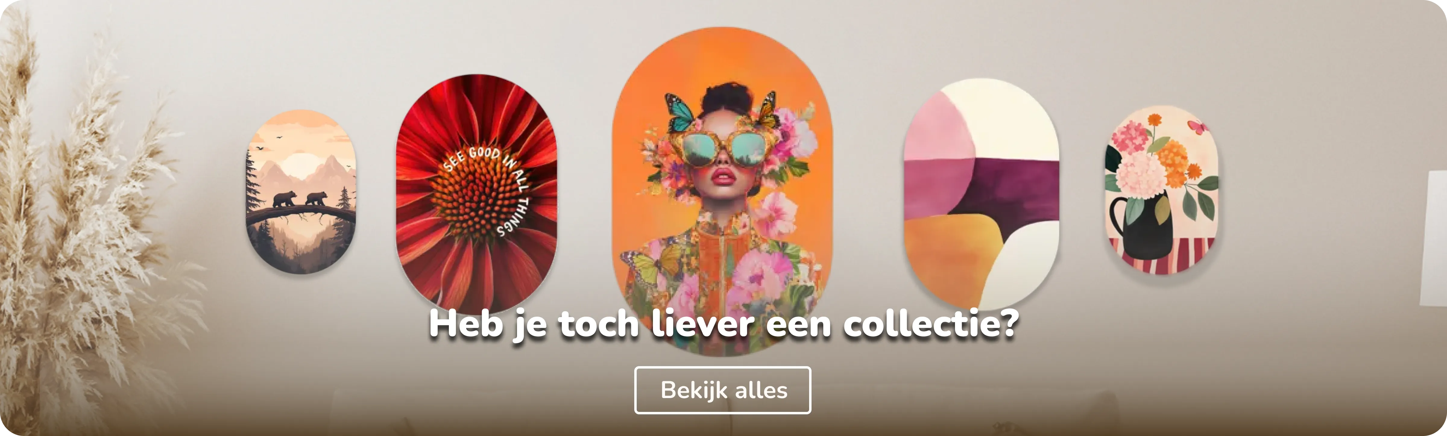 Muurovaal collecties