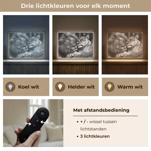 Leeuwen - Dieren - Zwart - Wit - Leeuw Light Box met batterij (Wandlamp) middel -USP_lichtkleurNL