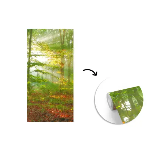 Zon - Bos - boom - Natuur - Herfst fotobehang vinyl groot -3d