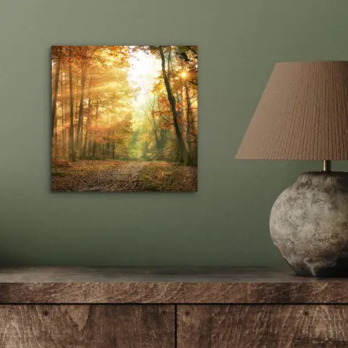 Bos - Herfst - Zon - Landschap - Natuur - Bomen - Bladeren aluminium wit klein -sfeer2