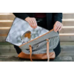 Roodborstje - Tak - Sneeuw - Winter - Levendig laptophoes neopreen klein -tas