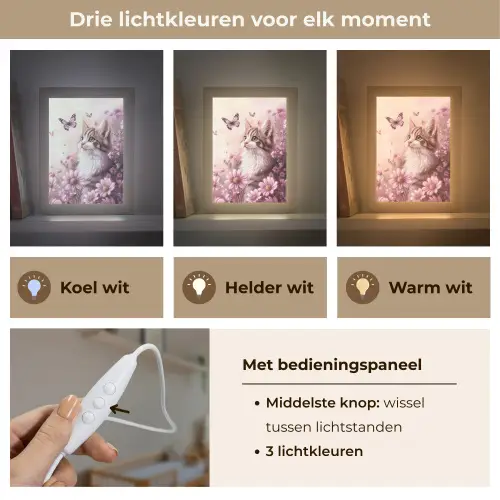 Kitten - Bloemen - Vlinders - Paars Light Box met kabel klein -USP_lichtkleurNL