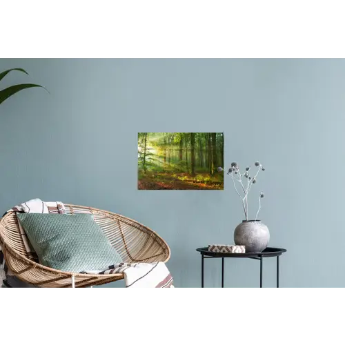 Zon - Bos - boom - Natuur - Herfst Muursticker klein -plant