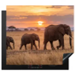 Olifanten - Savanne - Zonsondergang - Afrika - Warm Inductie beschermer vinyl 3mm middel -3d