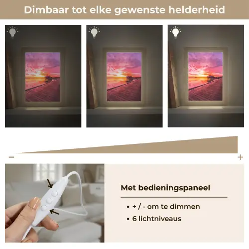Steiger - Water - Zon - Roze - Horizon Light Box met kabel (Tafellamp) klein -USP_dimbaarNL