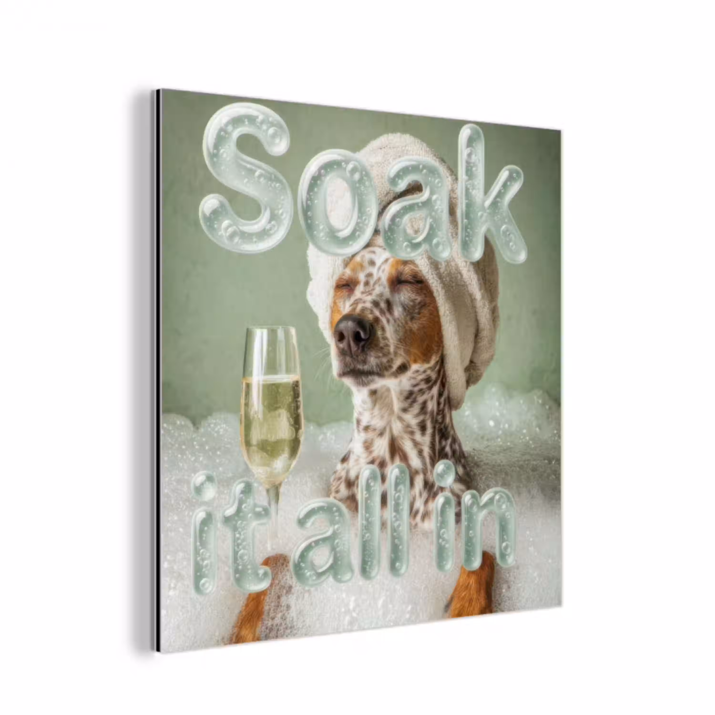 Soak it all in - Hond - Bad aluminium wit klein -3d