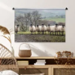 Schapen - Rij - Weide - Dieren - Platteland Wandkleed katoen middel -sfeer5