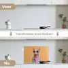 Zonnebril - Kat - Sjaal - Bloemen keuken achterwand spatscherm klein -voor_na_NL