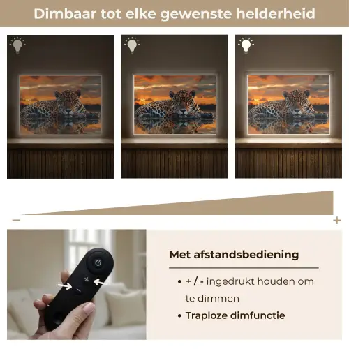 Natuur - Luipaard - Dier - Zonsondergang - Modern Light Box met batterij (Wandlamp) middel -USP_dimbaarNL