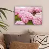 Struik - Bloemen - Roze - Hortensia canvas 2cm klein -sfeer1