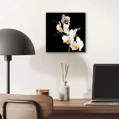 Orchidee - Bloemen - Planten - Botanisch aluminium wit klein -sfeer5
