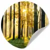 Bos - Zon - Bomen - Gras - Landschap  - Natuur Wandcirkel behangsticker klein -3d