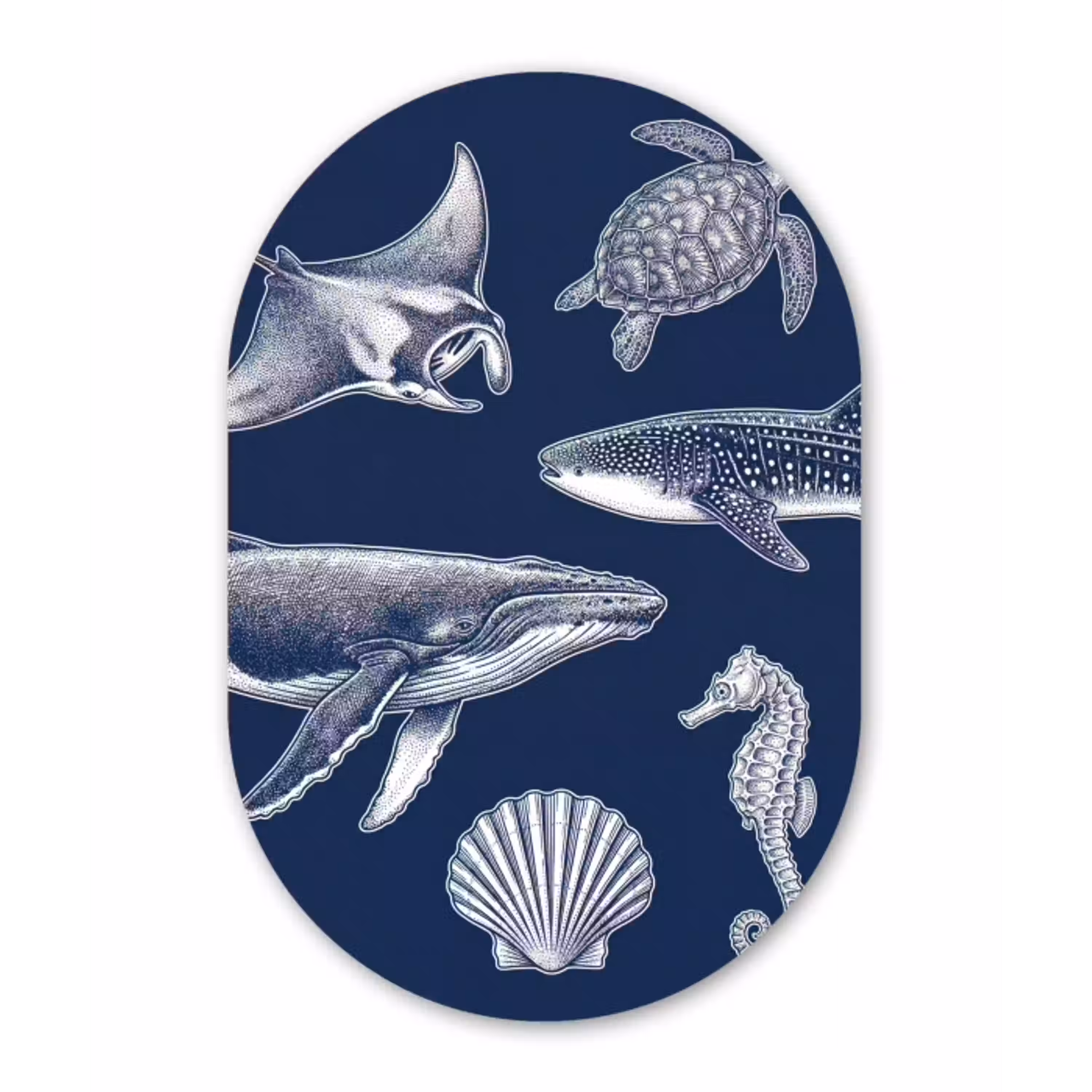 Dieren - Zeeleven - Oceaan - Graveren - Blauw Wandcirkel Ovaal Aluminium middel -3d