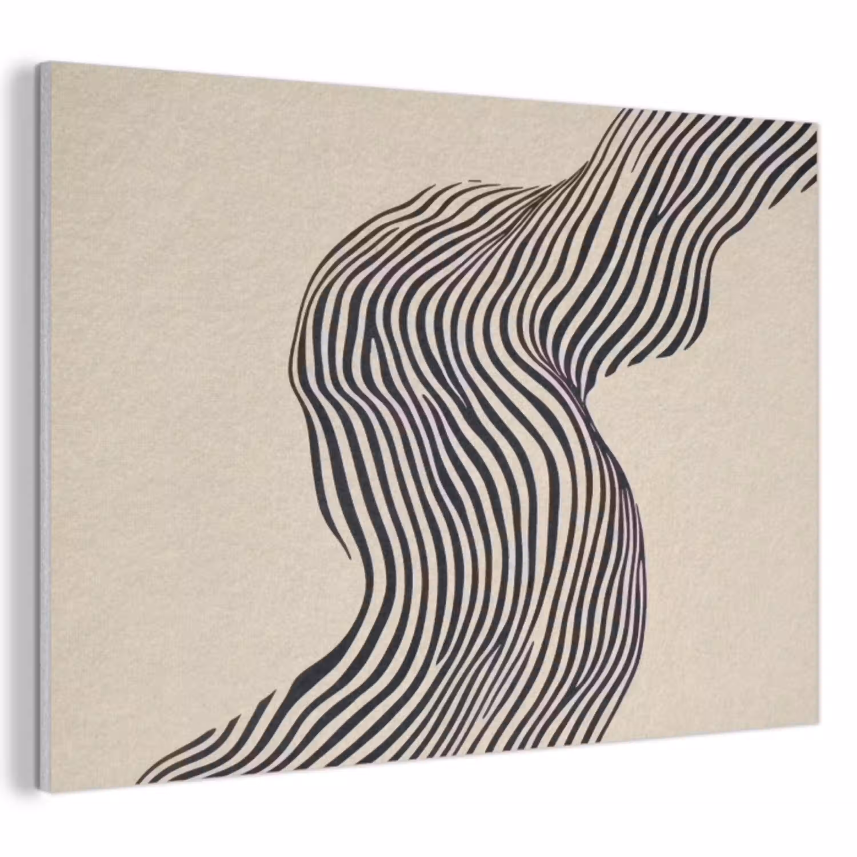 Golvend - Lijnen - Abstract - Silhouet PET vilt klein -3d