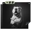 Buldog - Hond - Glas Inductie beschemer met haakjes middel -3d
