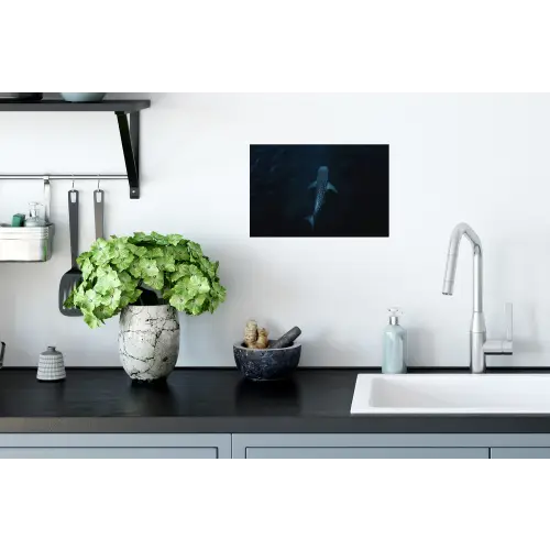 Oceaan - Walvishaai - Donkerblauw - Vlekken Muursticker klein -keuken