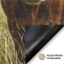 Koeien - Portret - Weide - Boerderij - Nieuwsgierig Deurmat klein -antislip_DE