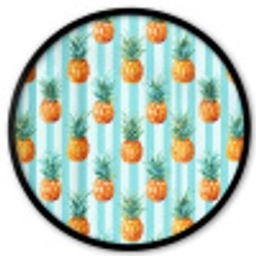 Ananas - Strepen - Groen Fotolijst rond zonder passe partout klein 856 -3d