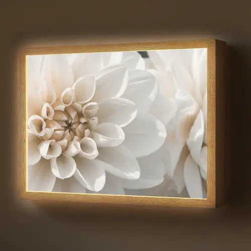 Bloemen - Wit - Natuur Light Box met batterij (Wandlamp) middel -z3d_website