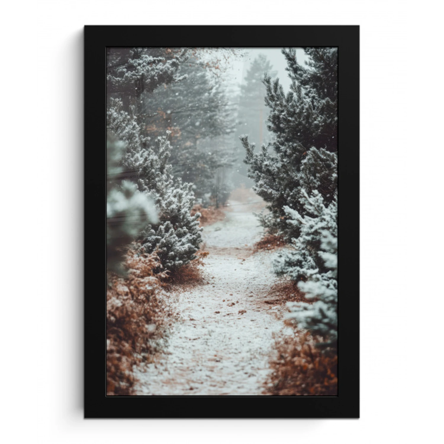 Bos - Winter - Bomen - Natuur - Pad - Sneeuw fotolijst zwart zonder passe partout klein -3d