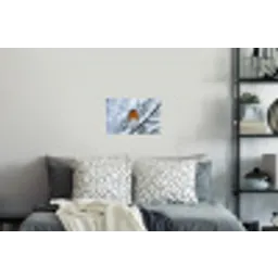 Roodborstje - Tak - Sneeuw - Winter - Levendig Muursticker klein -slaapkamer