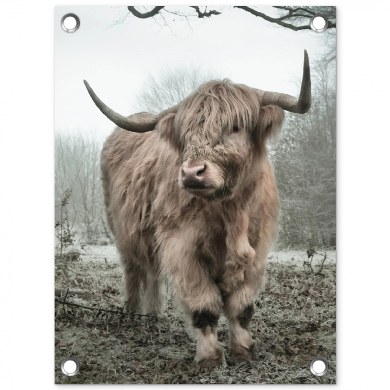 Hooglander in de Mist tuinposter los doek klein -3d