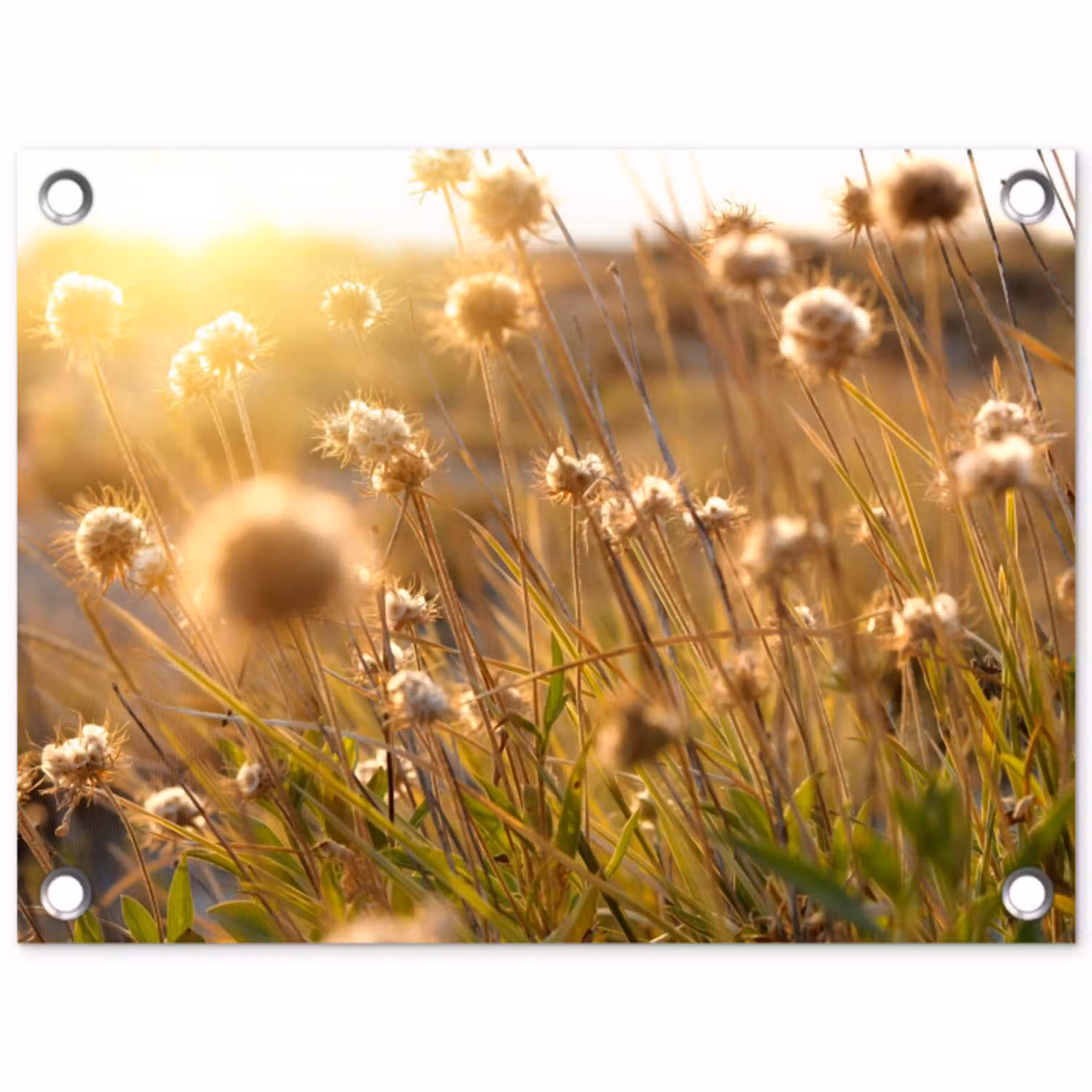 Planten - Natuur - Bloemen - Zon - Horizon tuinposter los doek klein -3d