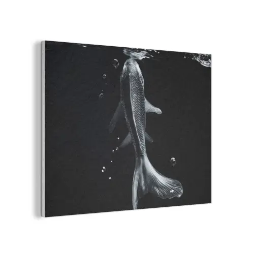 Koi - Vissen - Water - Zwart PET vilt klein -3d
