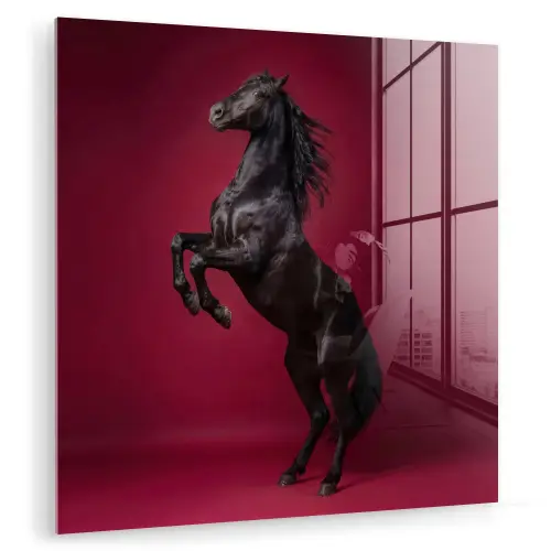 Hengst - Steigert - Rood plexiglas 5mm klein -zzzproduct_nieuw