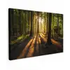 Avondlicht in het bos Tuinposter op houten frame 2 cm dik klein -3d