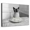Kat - Siamees - Zwart Wit - Schattig - Dieren Textielframe zwart klein -3d