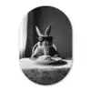 Konijn - Bunny - Zonnebril - Tafelkleed - Pasta - Schattig Wandcirkel Ovaal Glas middel -3d