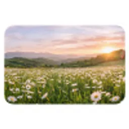 Madelief - Veld - Heuvels - Groen Badmat klein -3d