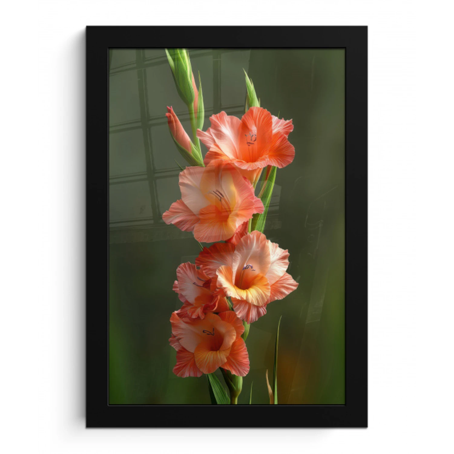 Bloem - Gladiolen - Zalmroze fotolijst zwart zonder passe partout klein -3d