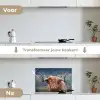 Schotse Hooglander - Koeienkop - Landschap - Natuur - Koe keuken achterwand spatscherm klein -voor_na_NL
