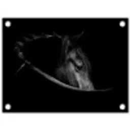 Paarden - Portret - Zwart - Dieren tuinposter los doek klein -3d