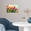 Tulpen - Roze - Zonnestralen poster papier klein -sfeer3