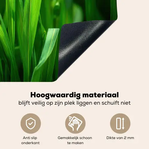 Grassprieten - Lichtinval - Groen Inductie beschemer met haakjes middel -ky-onderkant-nl