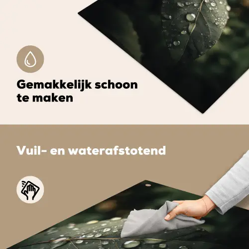 Blad - Groen - Nerven - Regendruppels Inductie beschemer met haakjes middel -ky-schoon-nl