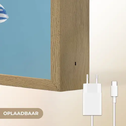 Bloem - Blauw - Bloemblaadjes - Streepjes Light Box met batterij (Wandlamp) middel -USP_websiteoplaadbaarNL